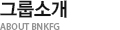 그룹소개 ABOUT BNKFG